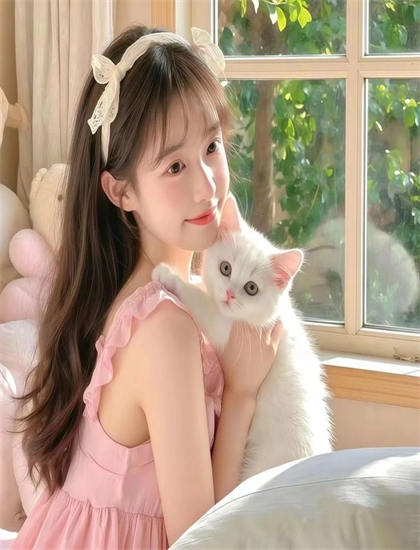 深度探索：仔仔一堂 第二季的哲学思考与人生智慧——一次全面的艺术分析